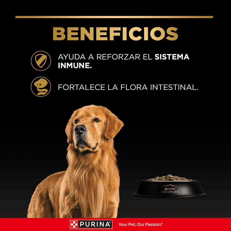 pro-plan-adulto-razas-medianas-complete-con-optilife