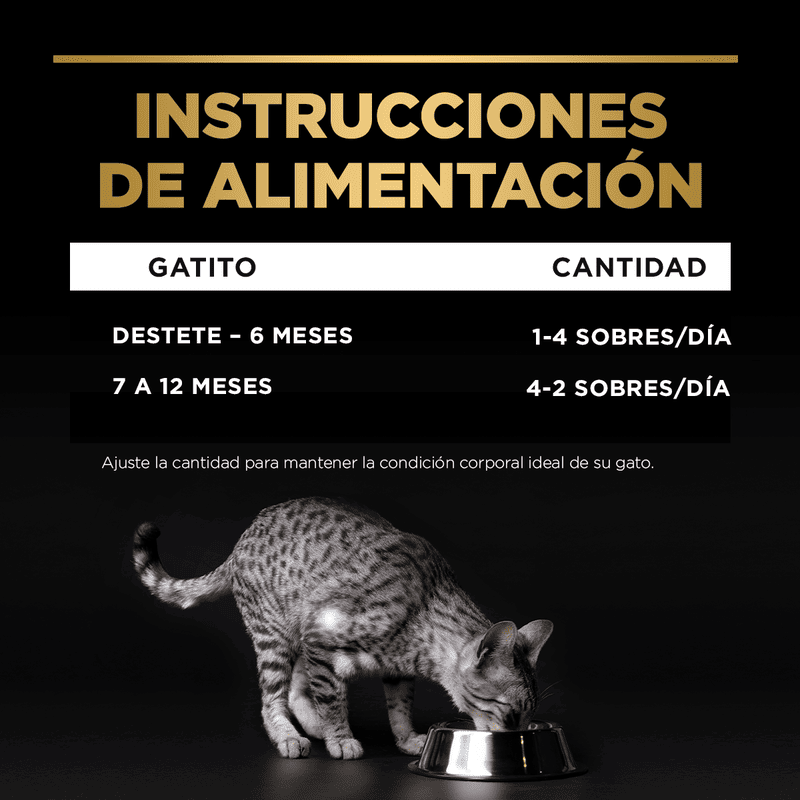 purina-pro-plan-pouch-kitten-wet-pollo