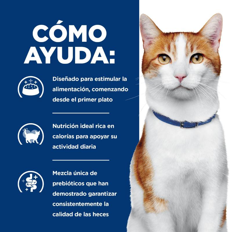 hills-alimento-humedo-para-gato-onc-care