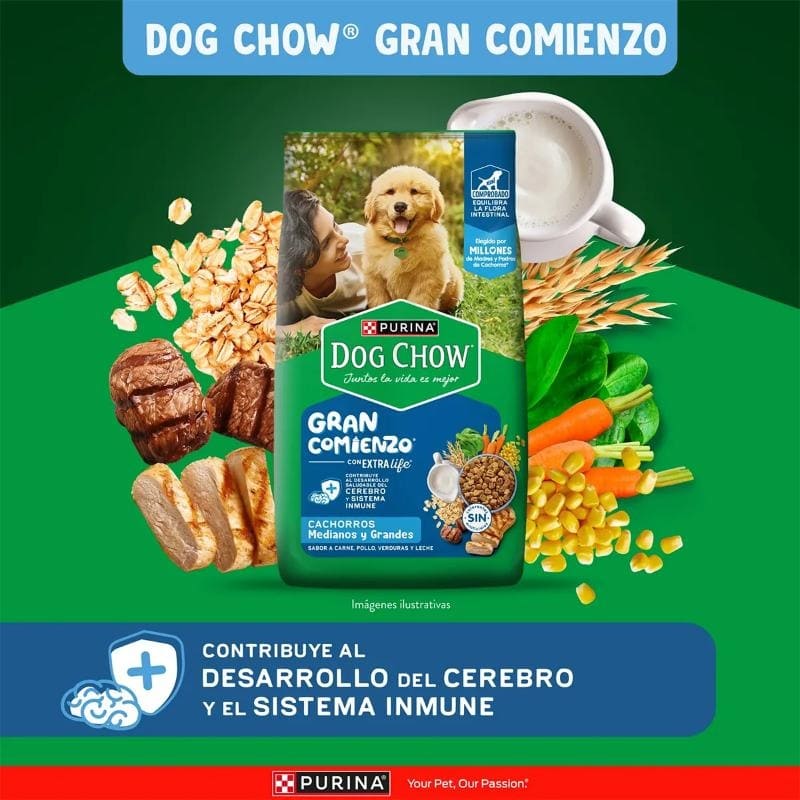 dog-chow-salud-visible-cachorros-medianos-y-grandes