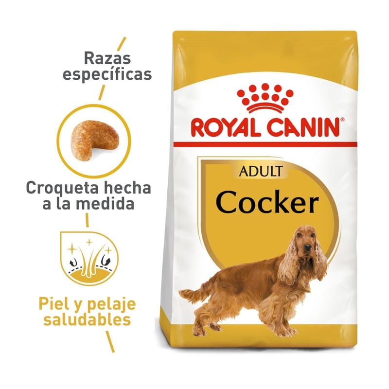 royal-canin-cocker
