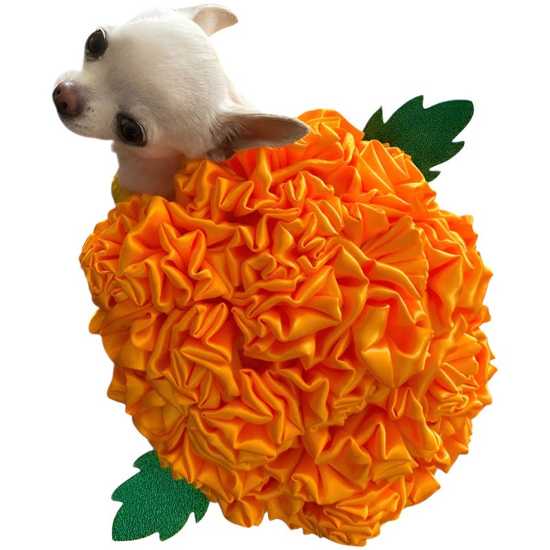 perrina-disfraz-flore-de-cempazuchil