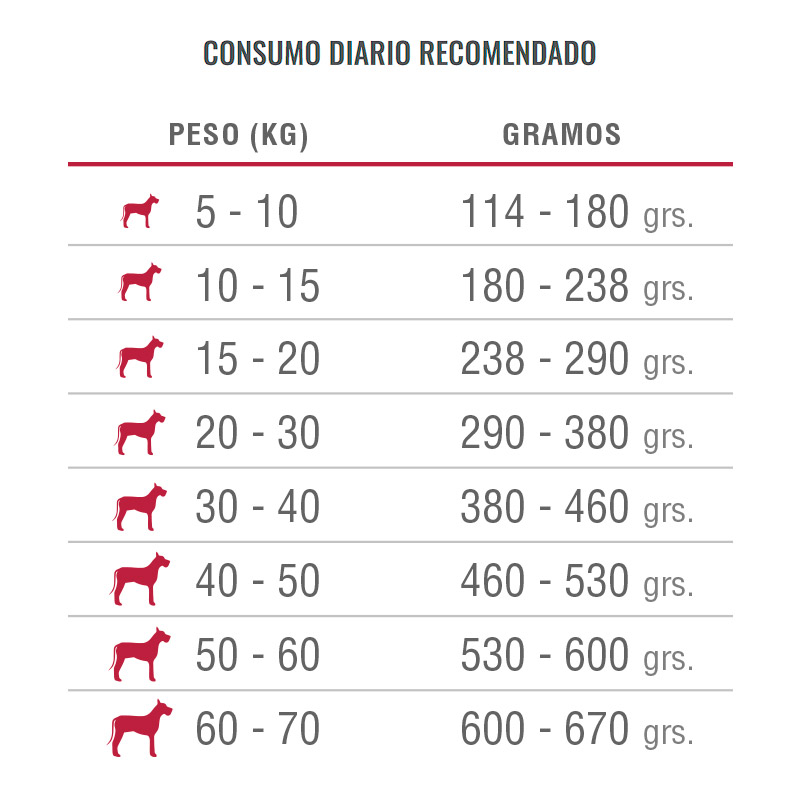 nomade-nomade-adulto-raza-mediana-y-grande