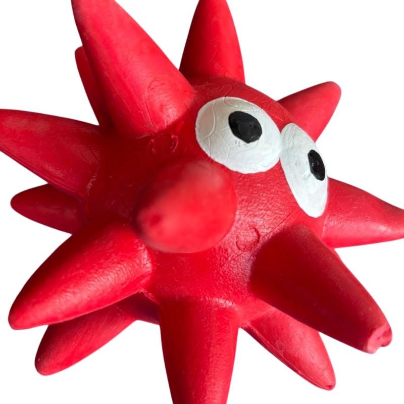 paw-day-pelota-tipo-estrella