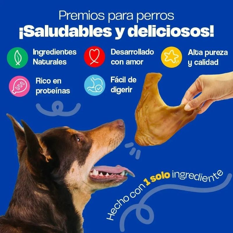 dogelty-premios-para-perro-orejas-de-cerdo-deshidratadas