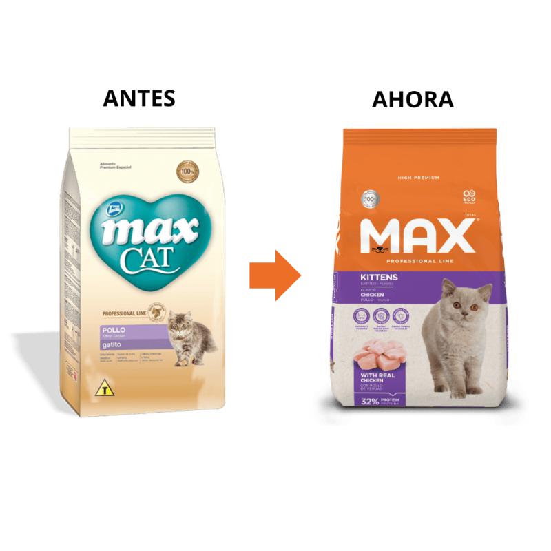 max-cat-gatito-pollo