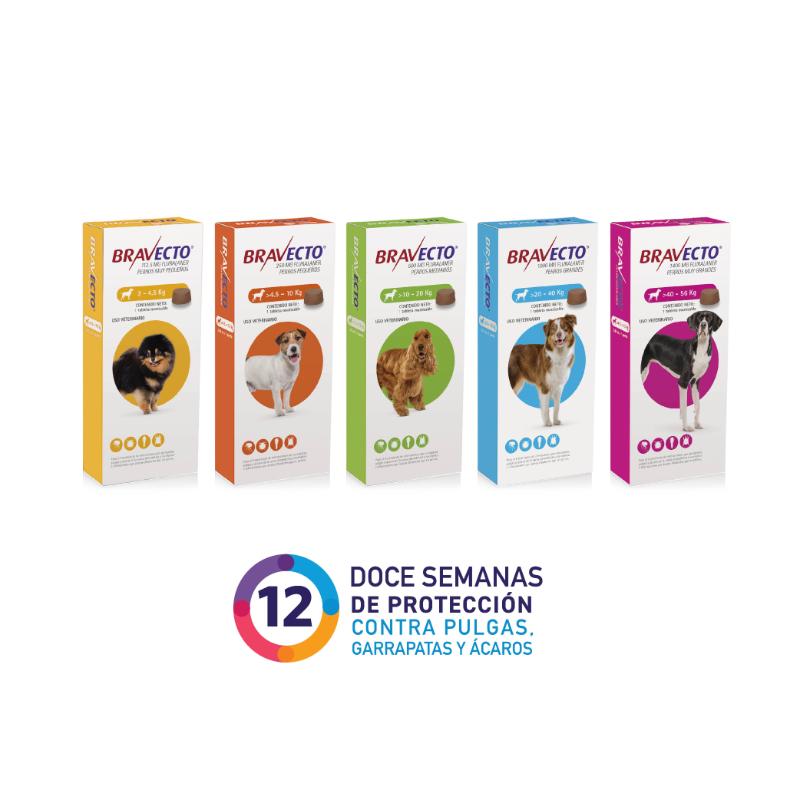 bravecto-perros-de-45-hasta-10-kg