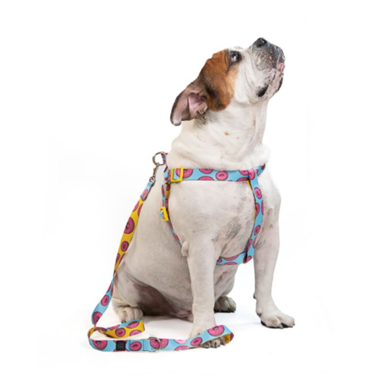 Obi Pet Supplies Bicombo Arn s Correa Yummy