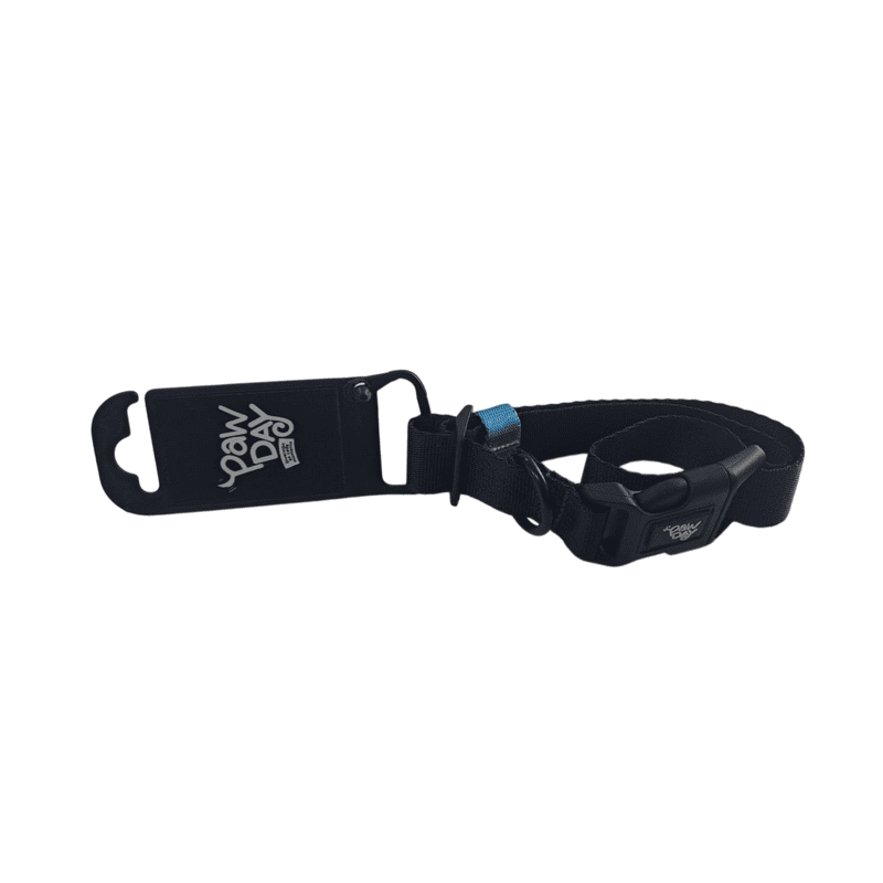 paw-day-collar-essential-azul-noche-verde-menta