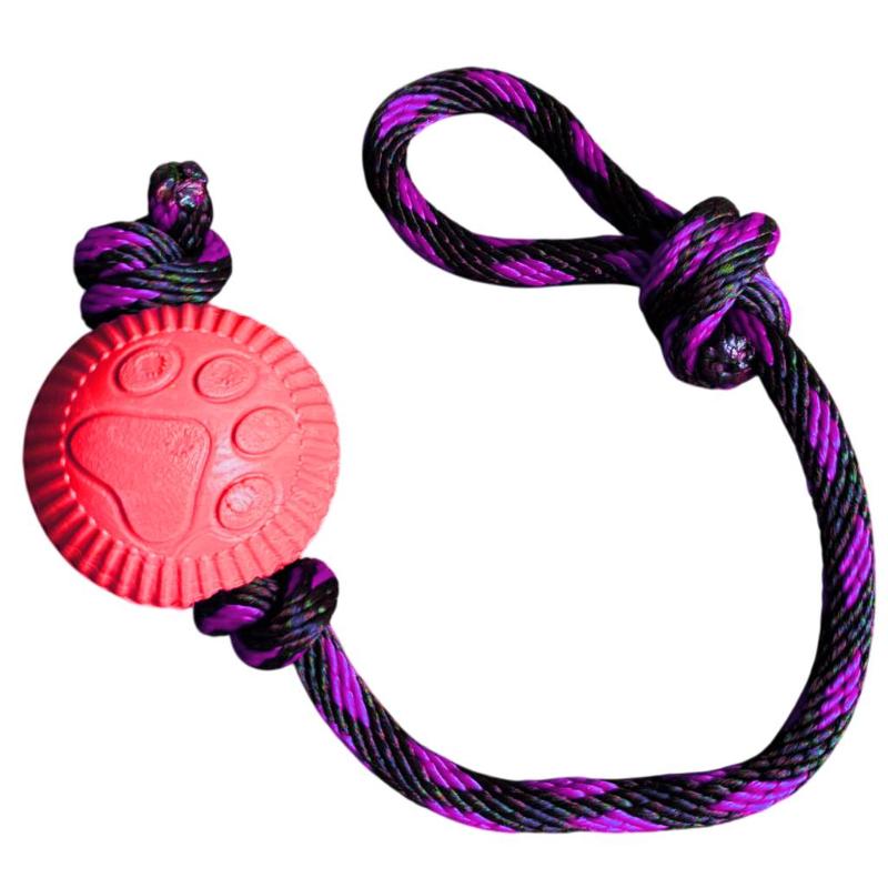 paw-day-pelota-lazo-mediana