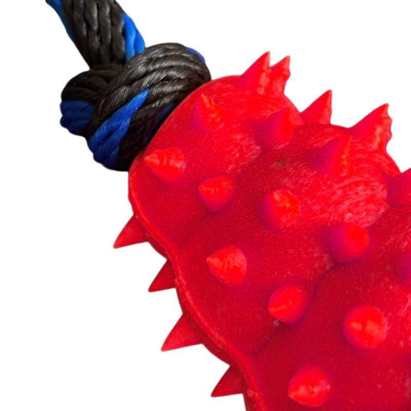 paw-day-kong-lazo