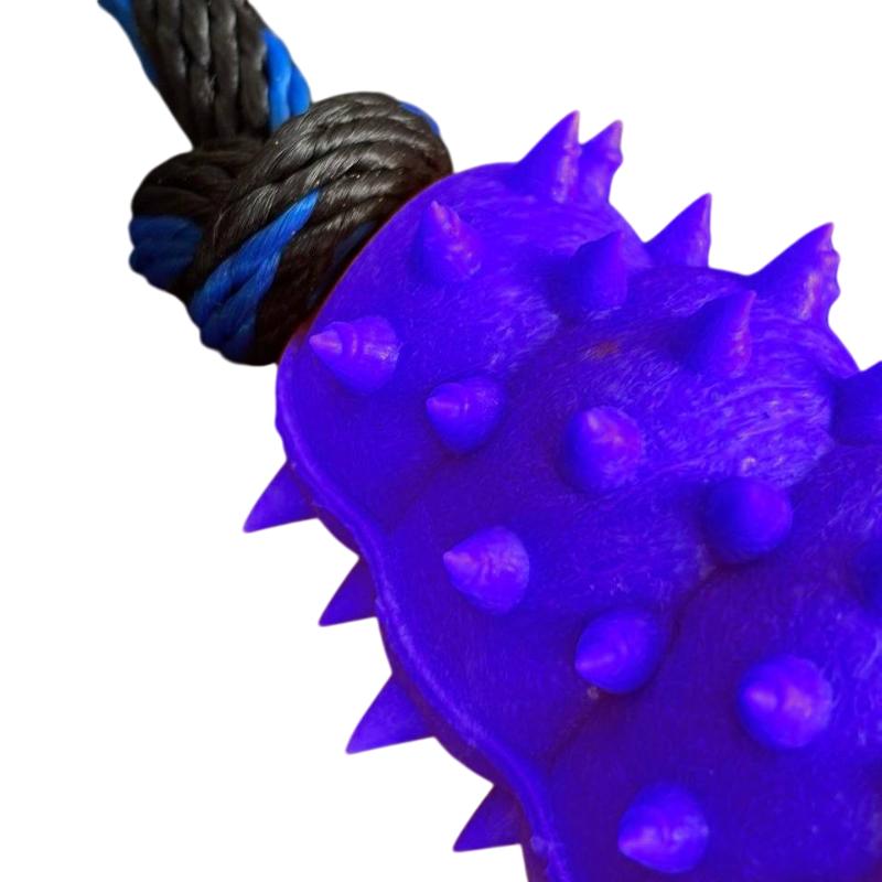 paw-day-kong-lazo