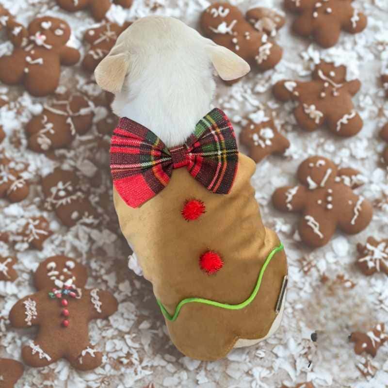 perrina-traje-galleta-de-jengibre