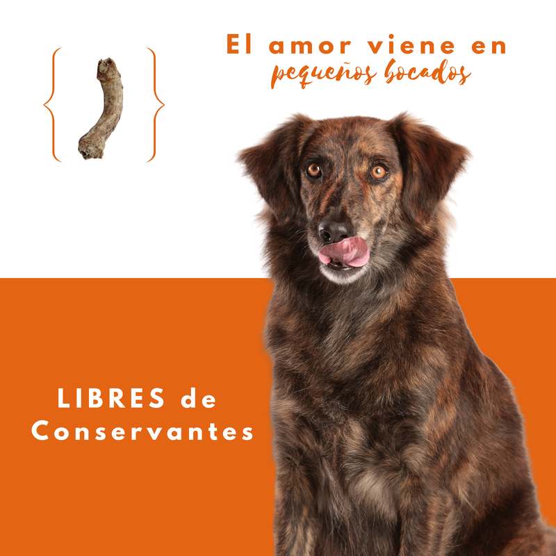 petmeal-natural-snacks-chicken-necks