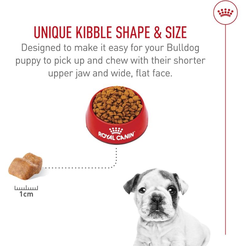 royal-canin-bulldog-ingles-cachorro