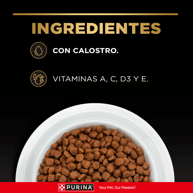 purina-pro-plan-gatitos-con-optistart