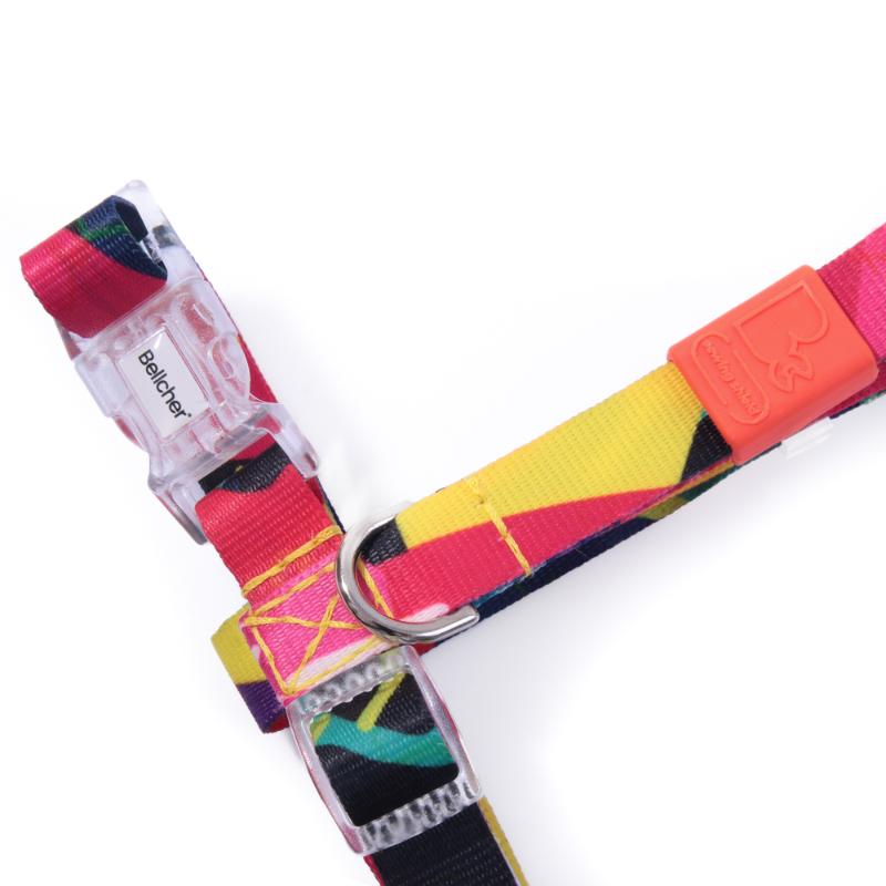 bellcher-arnes-tipo-h-donelly-colors-25-cm
