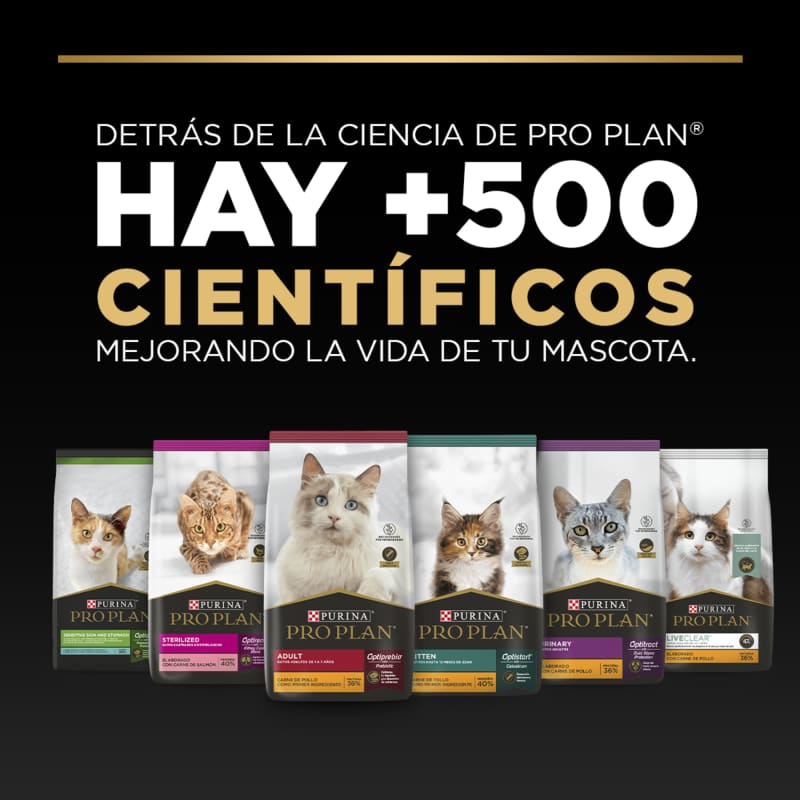 purina-pro-plan-puppy-razas-pequenas