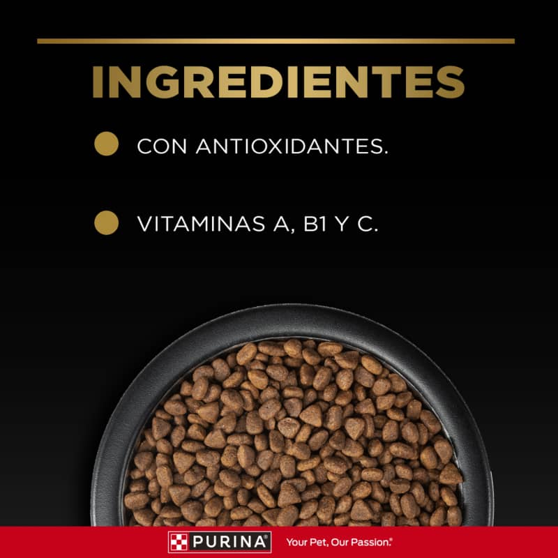 purina-pro-plan-adulto-exigent-razas-pequenas-con-optienrich