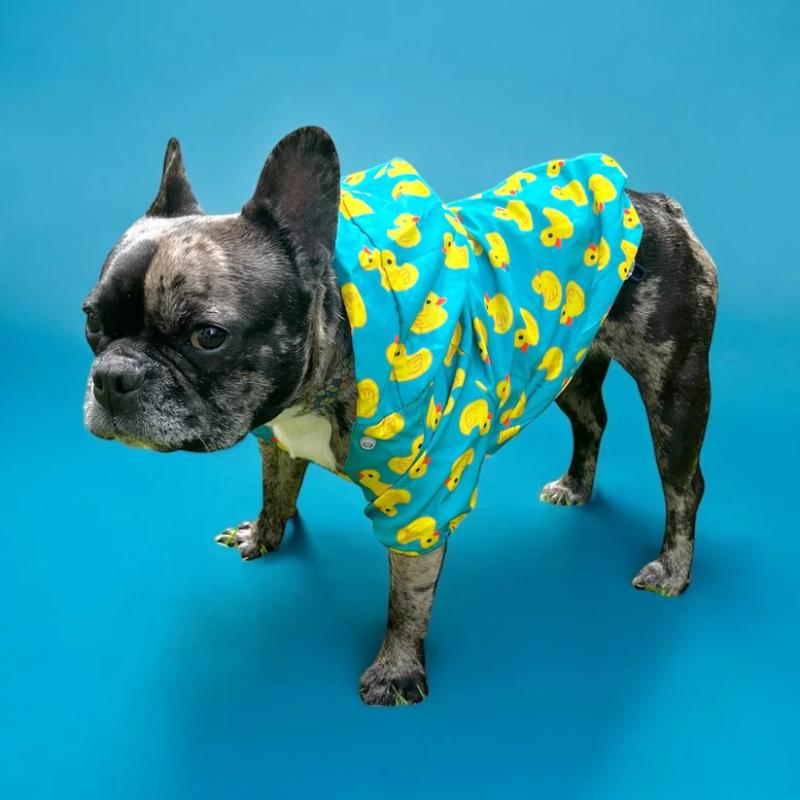 Chaqueta Impermeable Diseño Patos