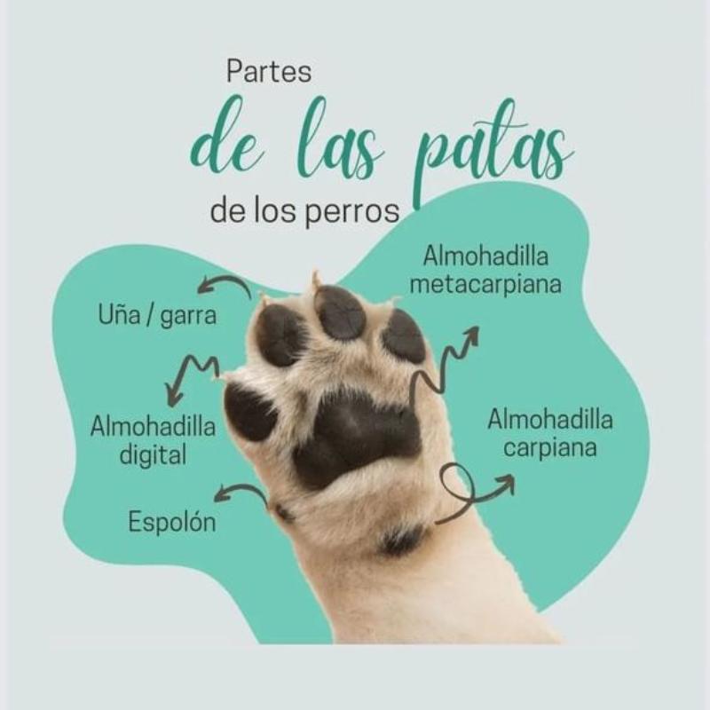 flipsdogs-flips-dogs-zapatos-para-perro