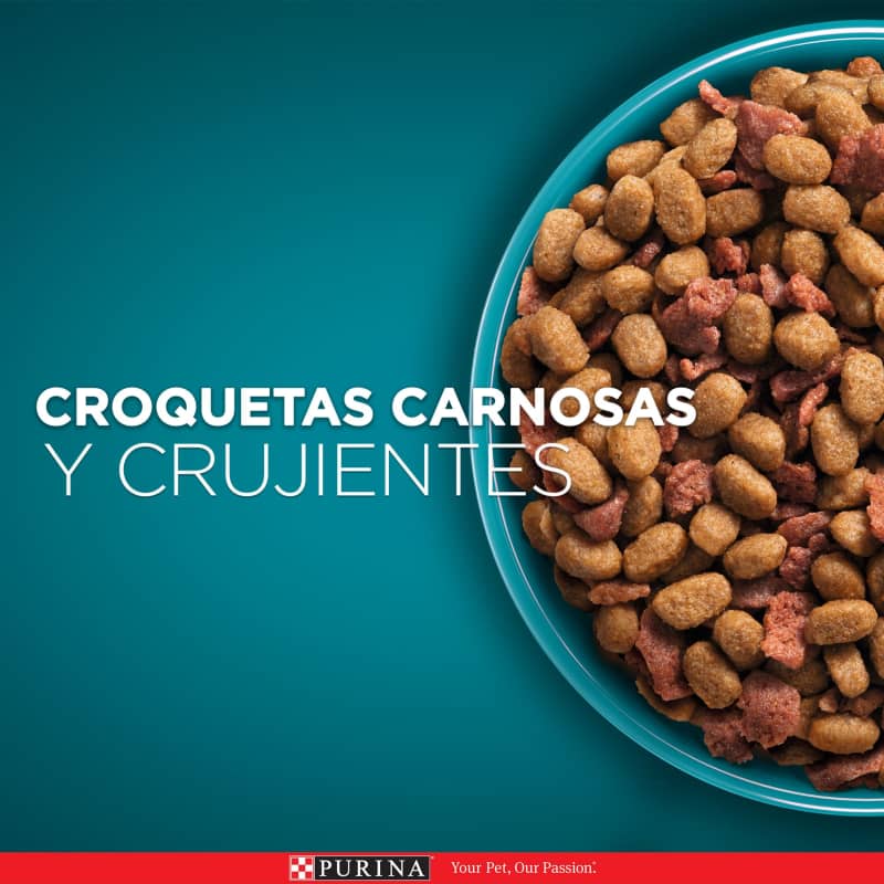 purina-one-gato-adulto-pollo-y-carne