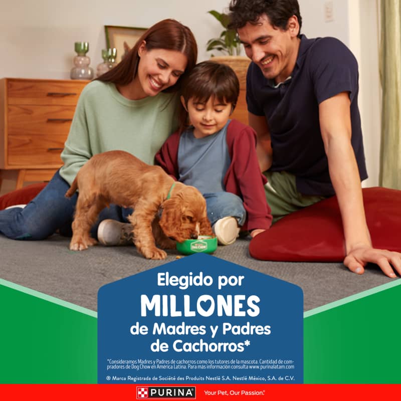 dog-chow-salud-visible-cachorros-medianos-y-grandes
