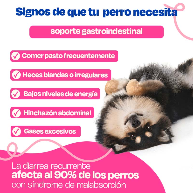 dogelthy-suplemento-para-perro-en-polvo-cuidado-gastrointestinal