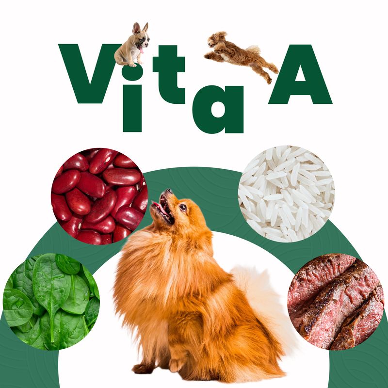 petmeal-sabor-vita-a