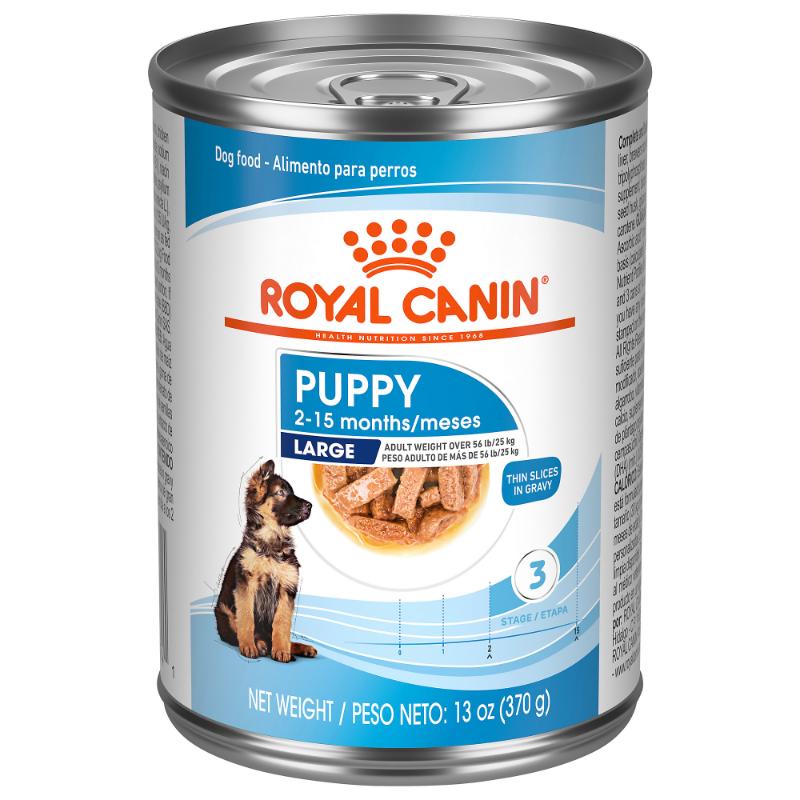 Royal Canin - Shn Large Puppy Lata