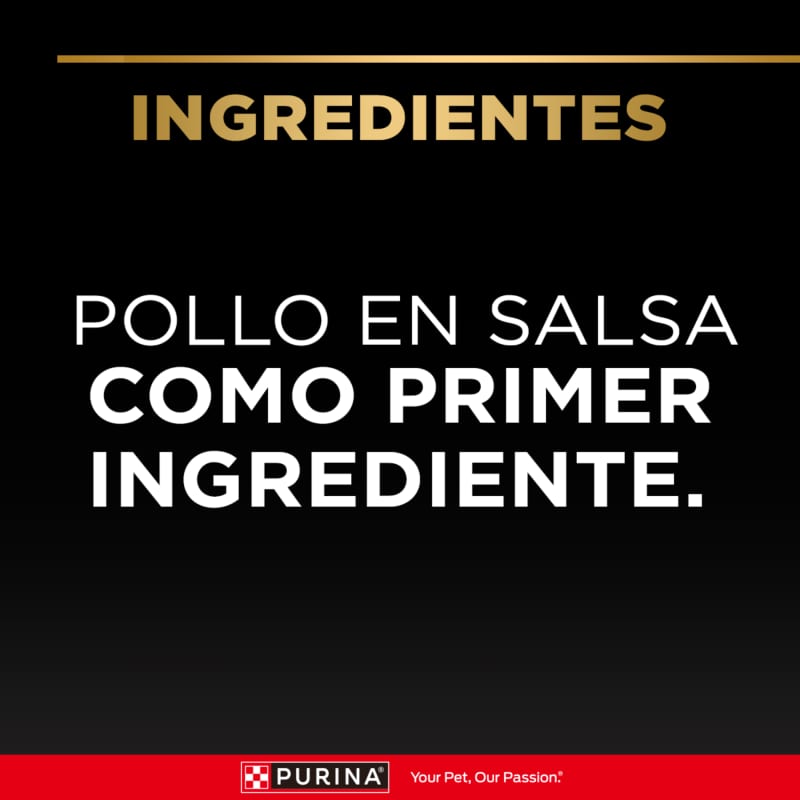 purina-pro-plan-pouch-kitten-wet-pollo