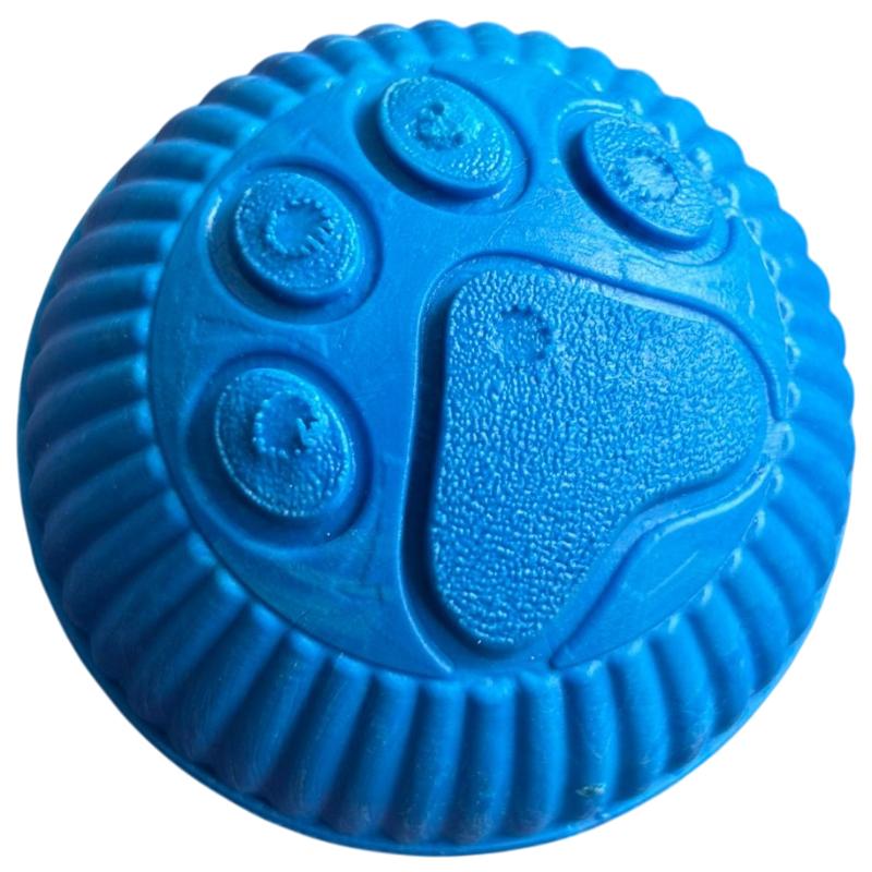 paw-day-pelota-mediana