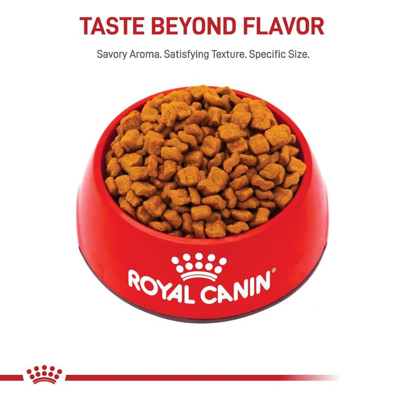 royal-canin-bulldog-ingles-cachorro