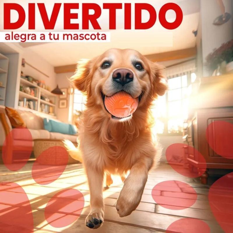 paw-day-pelota-pequena