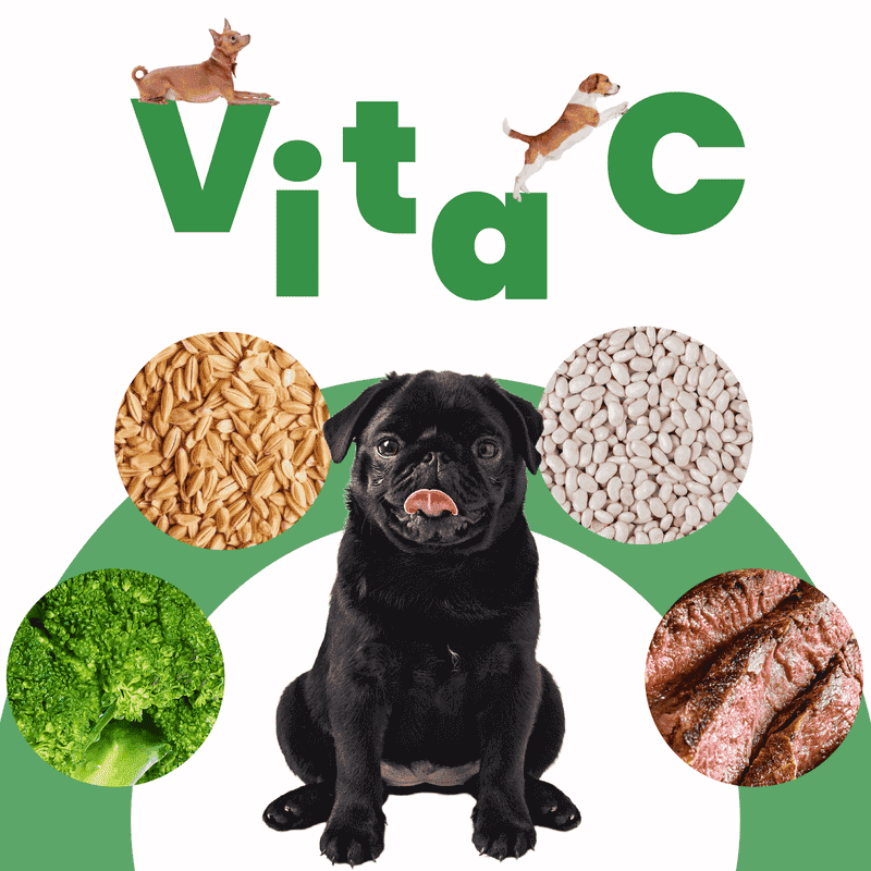 petmeal-sabor-vita-c