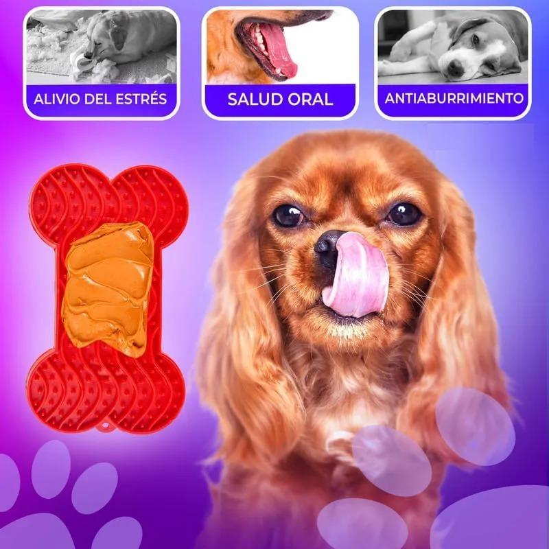 paw-day-licker-mediano