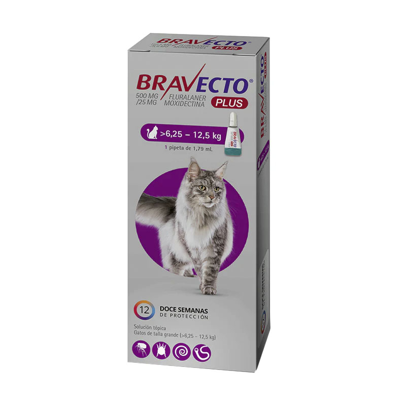 Bravecto Plus - Antiparasitario Pipeta para Gato de 6.25 - 12.5 Kg