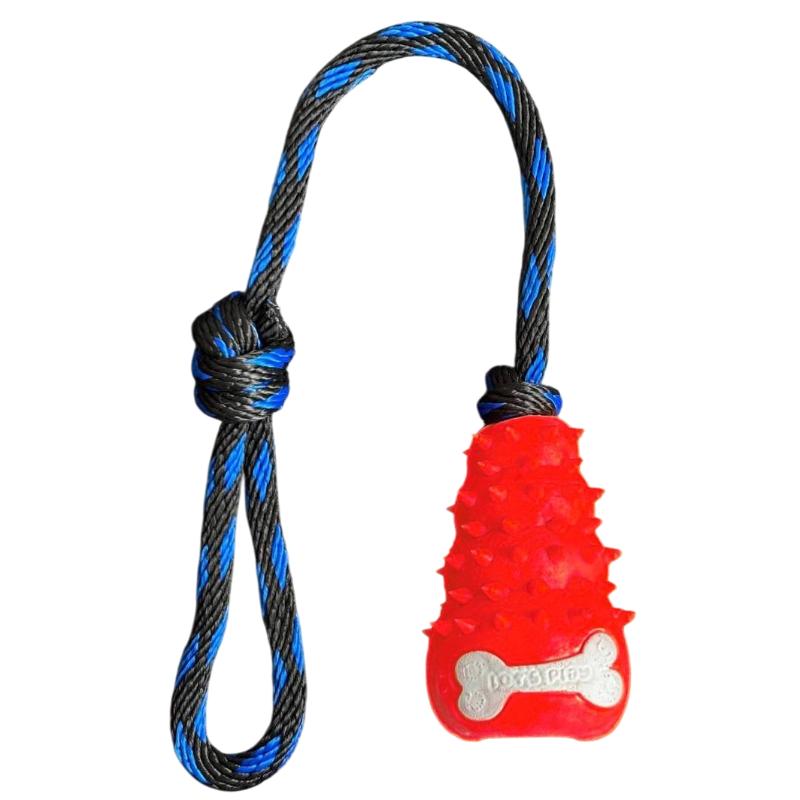 paw-day-kong-lazo