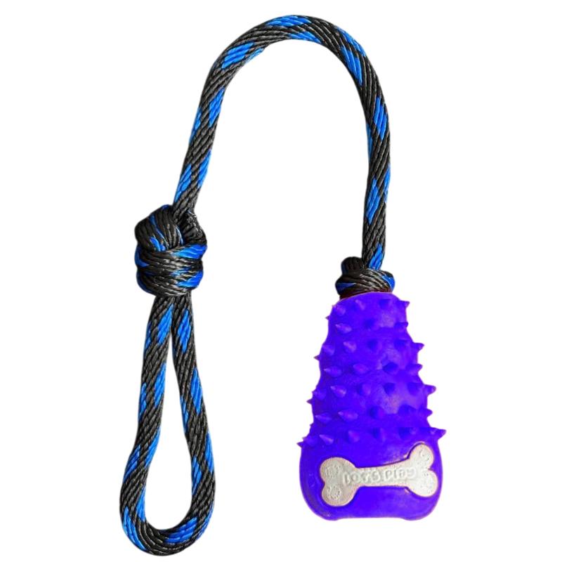 paw-day-kong-lazo