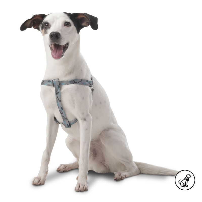 totto-pets-arnes-de-caminata-brunno-gris