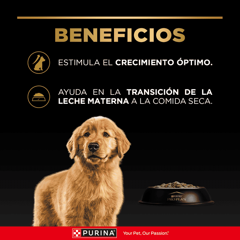 pro-plan-puppy-razas-medianas
