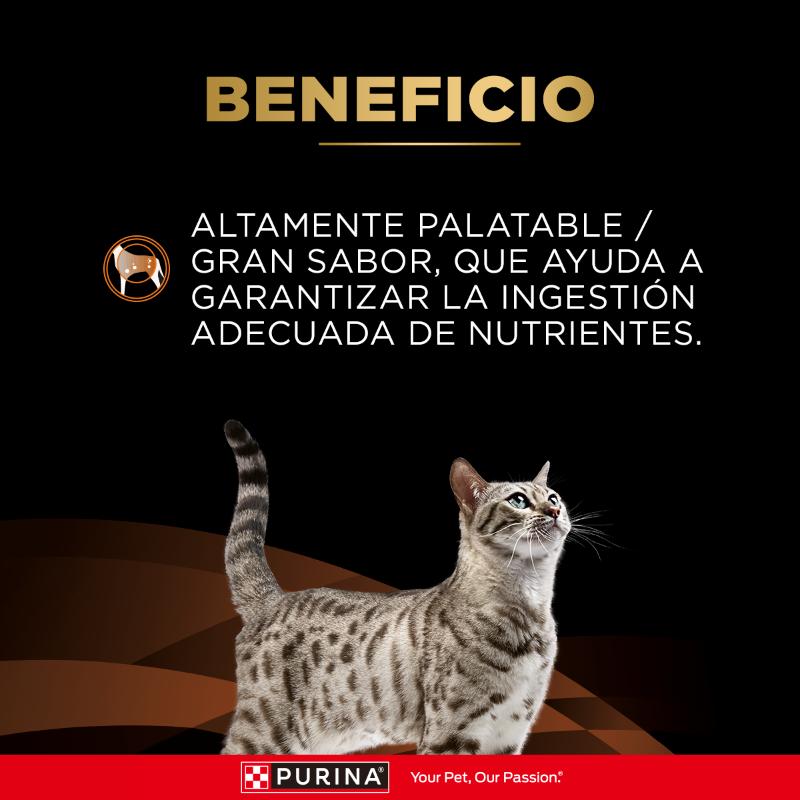 proplan-veterinary-diets-comida-humeda-nf-enfermedad-renal-etapa-inicial-gatos