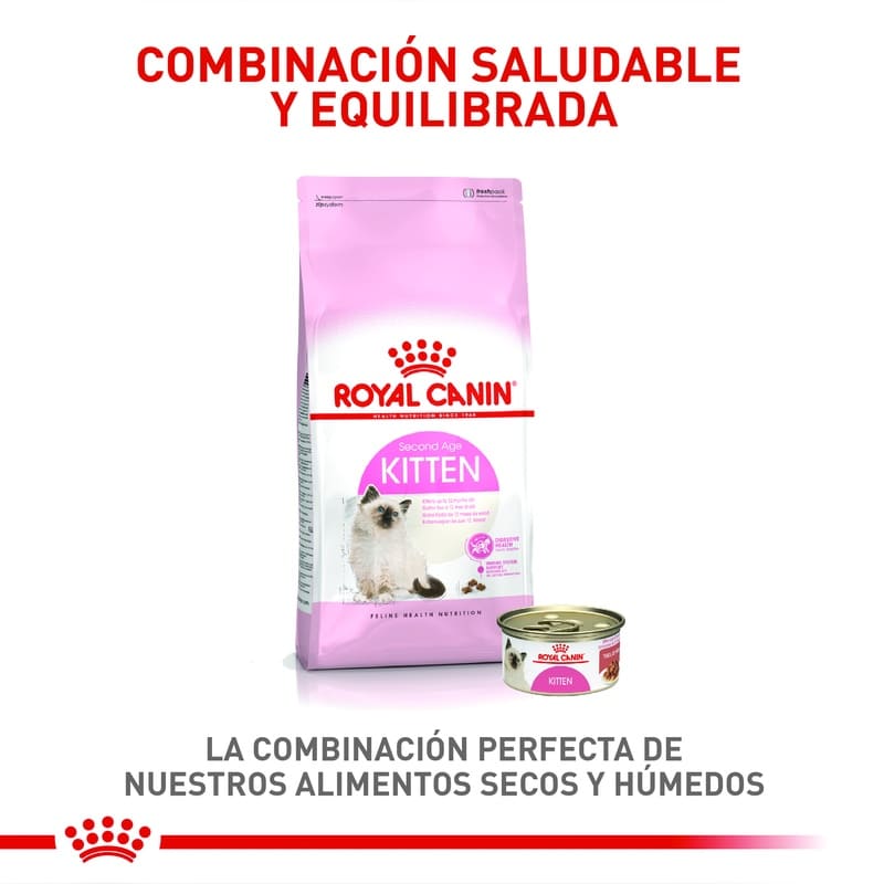 royal-canin-fhn-kitten