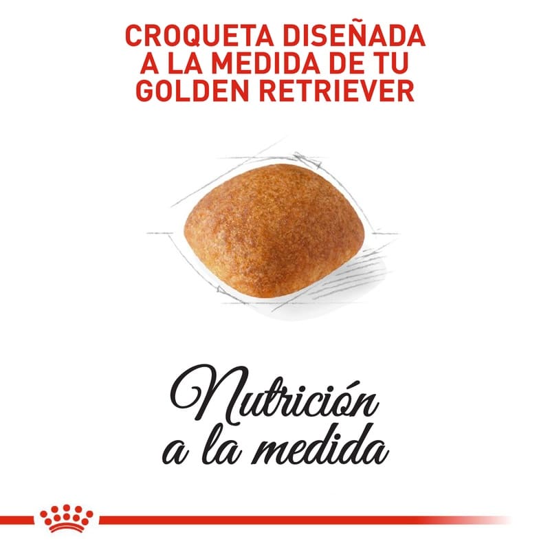 royal-canin-golden-retriever