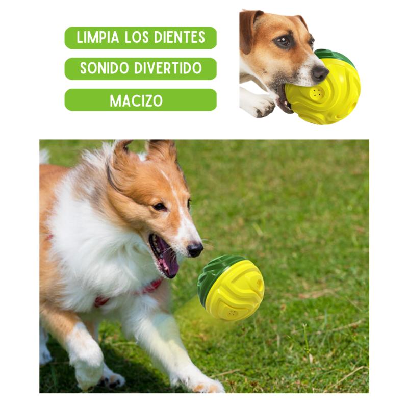 calabaza-pets-pelota-maciza-spark