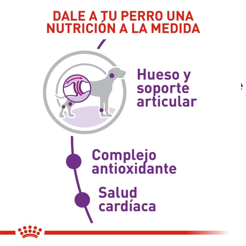 royal-canin-giant-adult
