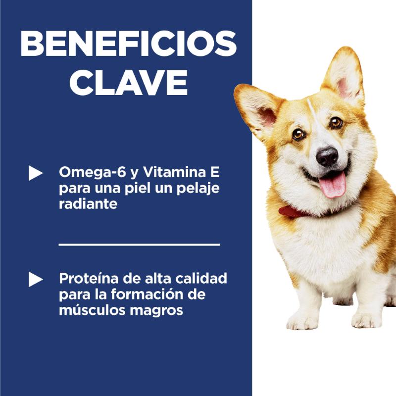 hills-science-diet-adult-small-bites-1-6-chicken-barley-recipe-dog