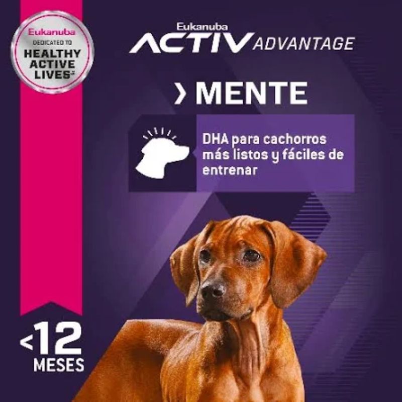 eukanuba-alimento-seco-para-cachorro-grande-receta-pollo