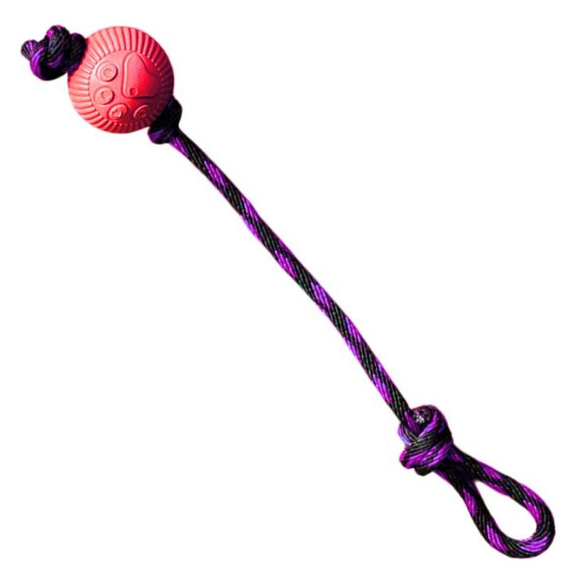 paw-day-pelota-lazo-mediana