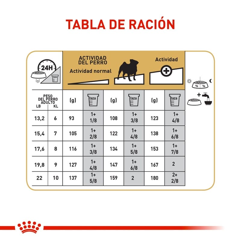 royal-canin-pug-adulto